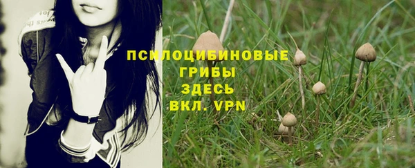 ALPHA-PVP Армянск